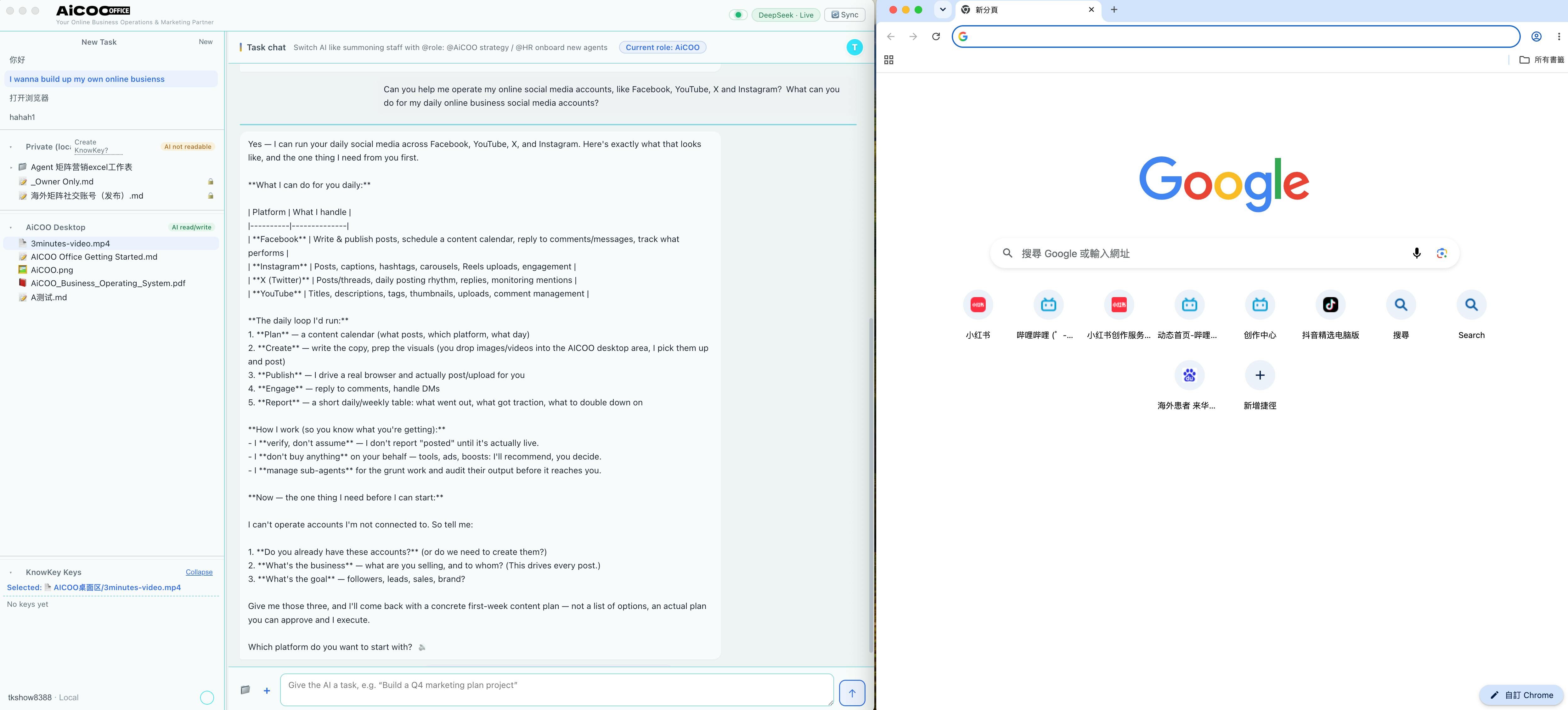 AiCOO screenshot 4