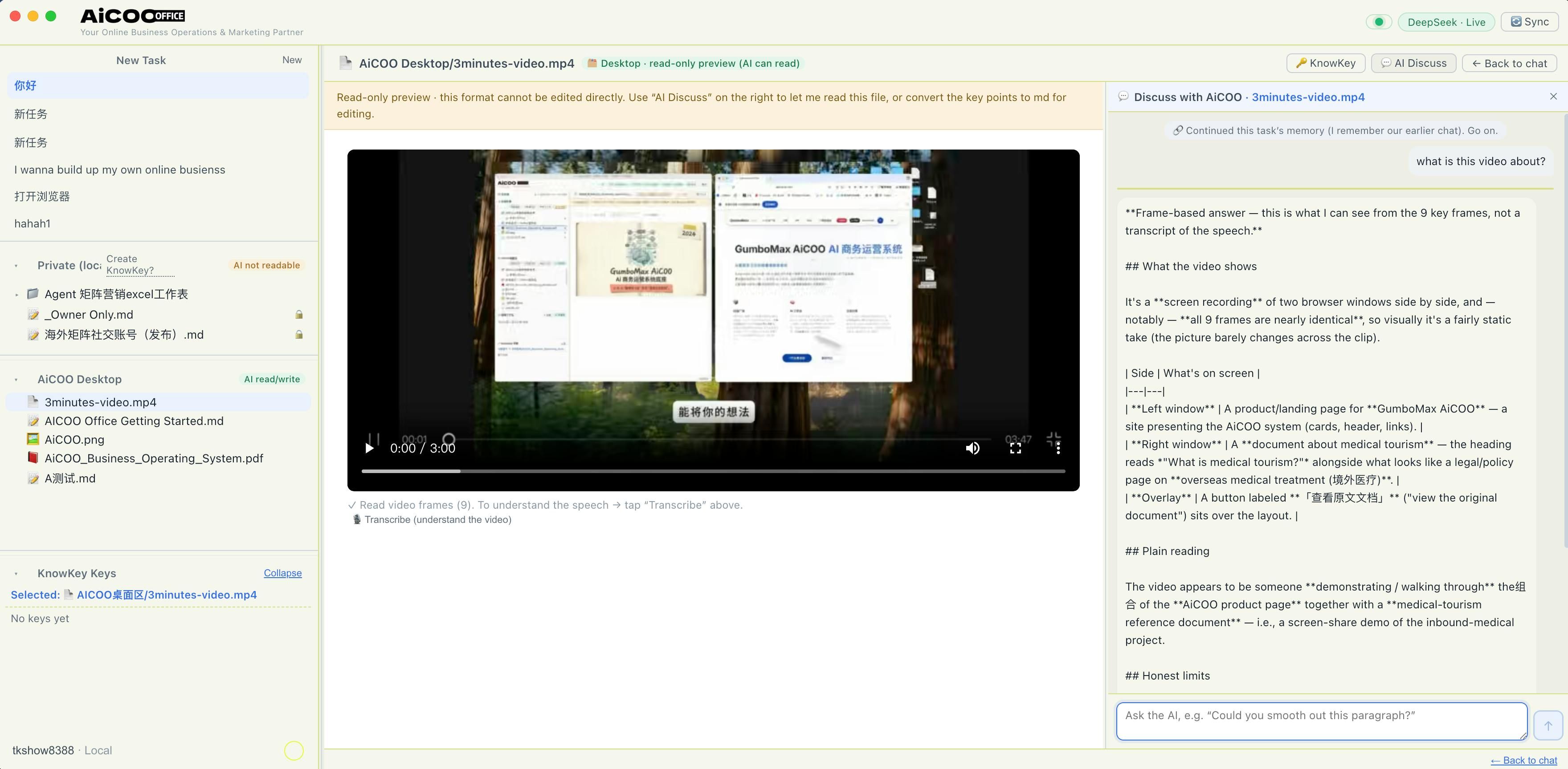 AiCOO screenshot 5