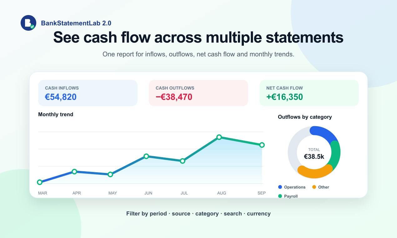BankStatementLab 2.0 screenshot 3