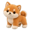 DotDog