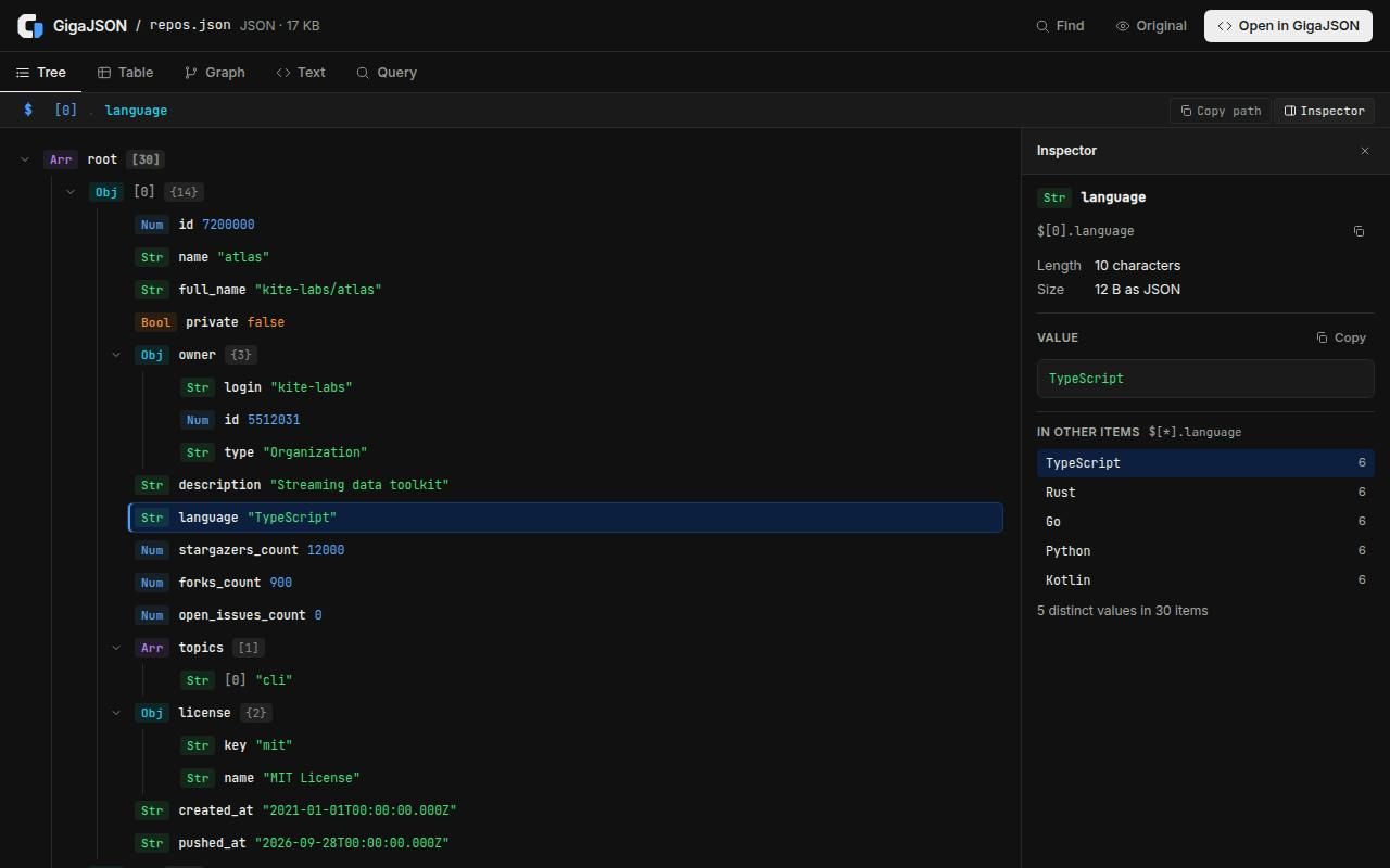 GigaJSON screenshot 1