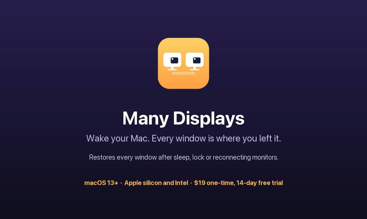 Many Displays screenshot 4