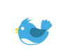 Sparrow