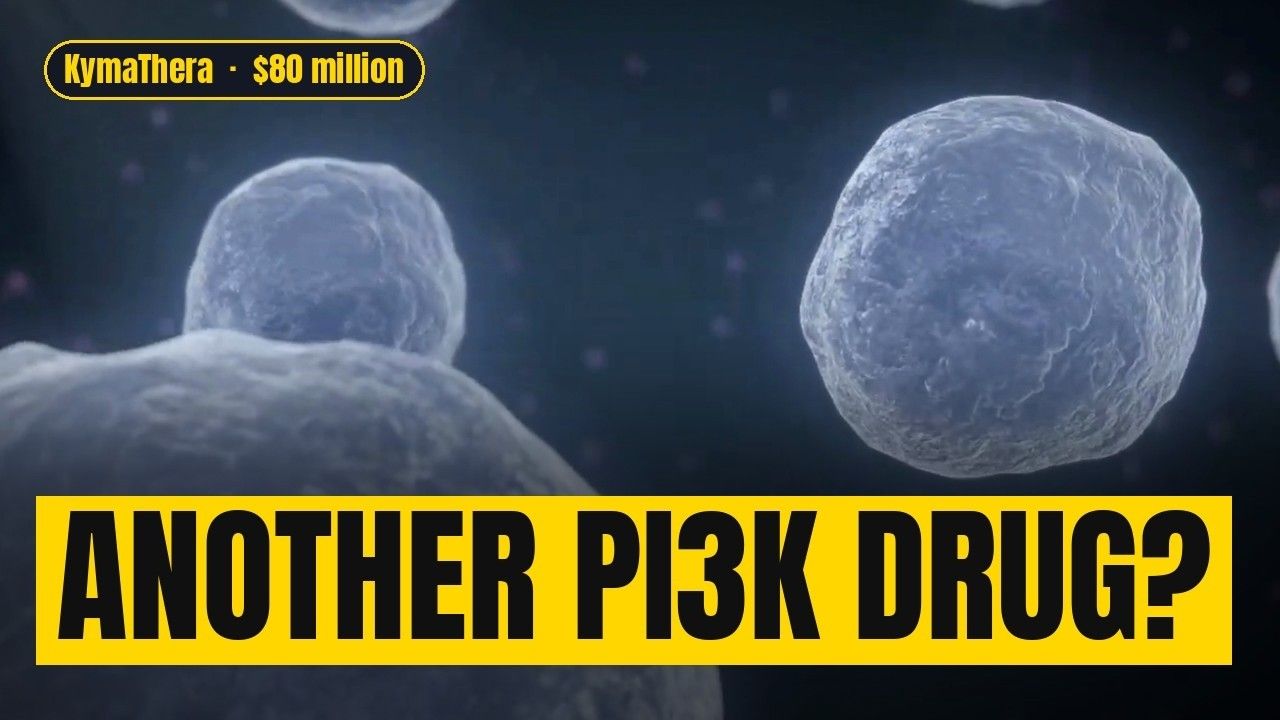 Why Build Another PI3K Inhibitor? Inside an $80M Bet